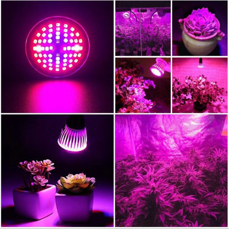 3 Глави 60 led осветителни тела за отглеждане на растения, алуминиеви лампи, пълна гама, оранжерия за отглеждане на цветя, UV-IR лампа за отглеждане на Hydro K55
