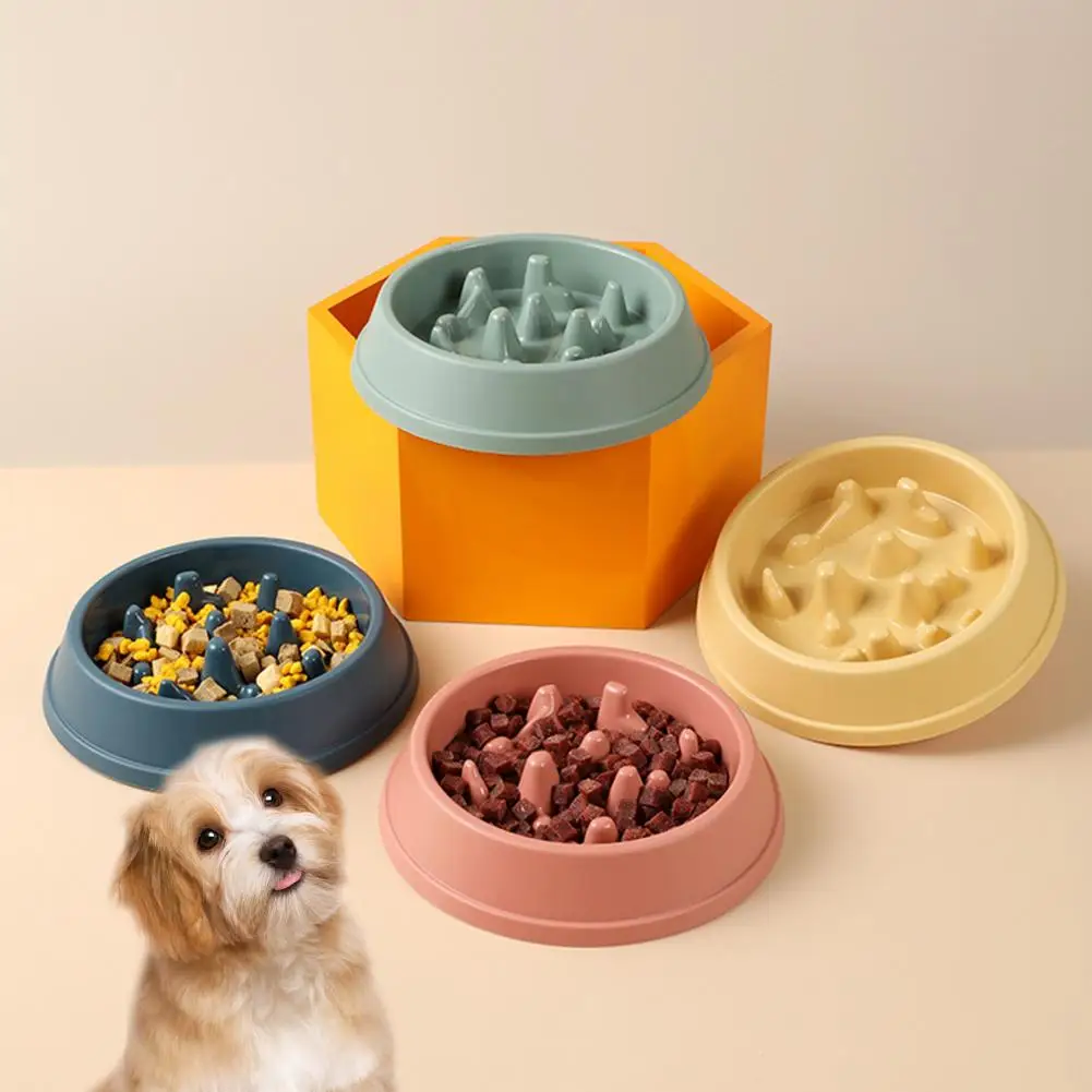 Здрава купа за котки, удобна запечатани кръгла купа за бавно подаване на храна за кучета1