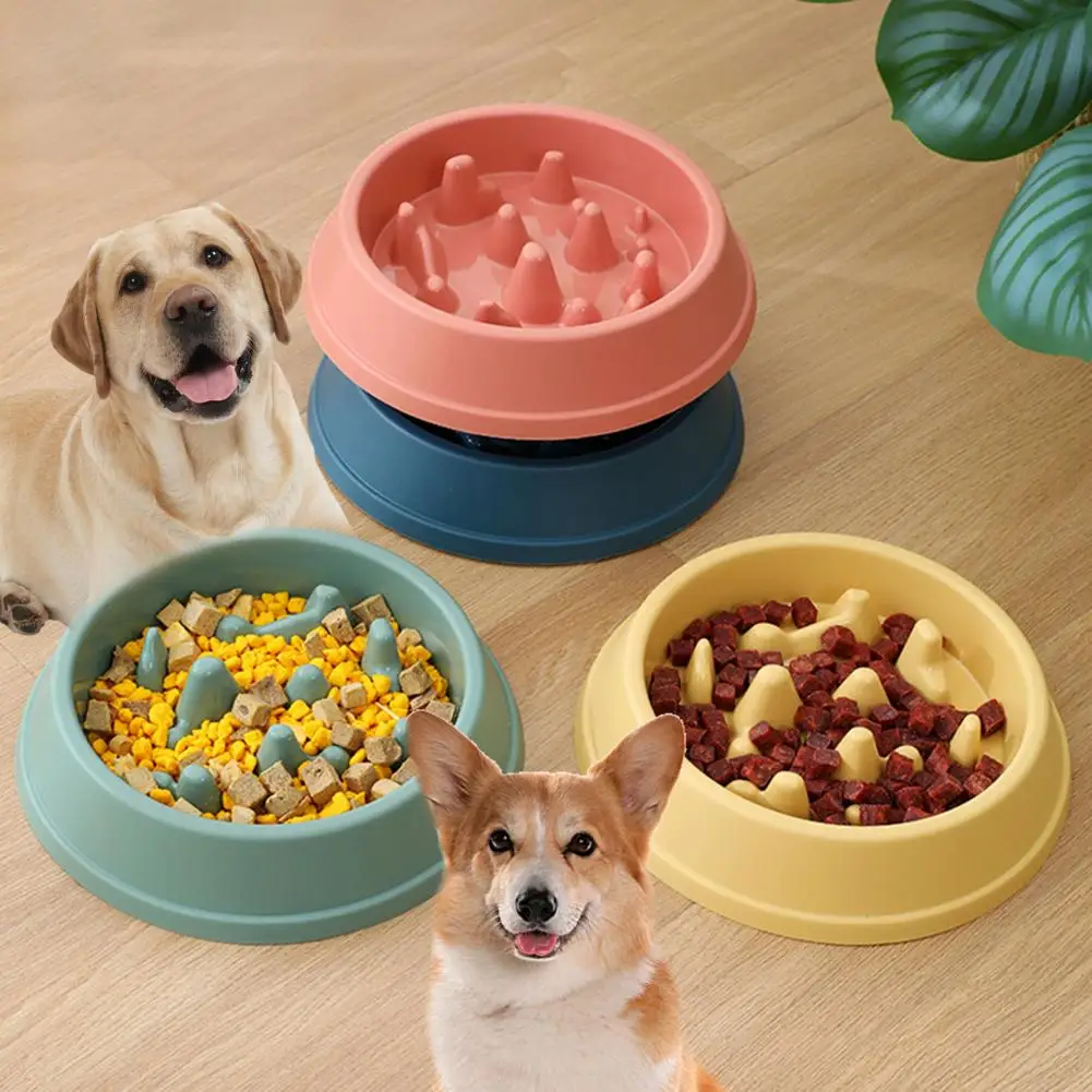 Здрава купа за котки, удобна запечатани кръгла купа за бавно подаване на храна за кучета5