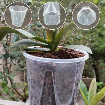 1бр Креативен Контрол корените на Прозрачна саксия phalaenopsis Засаждане на орхидея с устьицами саксия Декорация на дома
