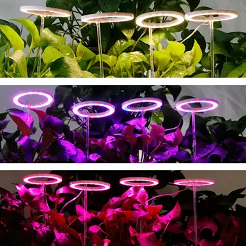 Гореща Led Лампа за Отглеждане на DC5V USB Фитолампа Пълна Гама от Растителни Лампа С Единични Ангелски Пръстени Стайни Растения, Разсад, Сукуленти Цъфтящо Растение