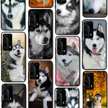 Калъф за телефон Аляска Huskies за Huawei P40, P30, P20 Pro, P10 Plus, P9, P8, Lite, P Smart Cover