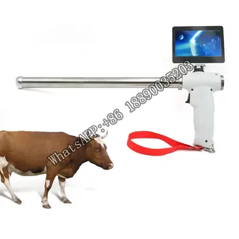 Обзавеждане за изкуствено осеменяване на животни Цифров Пистолет изкуствен интелект Видим комплект за изкуствено Осеменяване на едрия рогат добитък, за Кравите