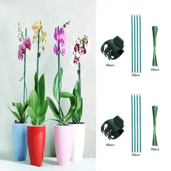 Уникални цветни пръчици, екологично чисти поставки за растения, Водоустойчив скоба за орхидеи, които определят колове, Които подкрепят лозови стъбла